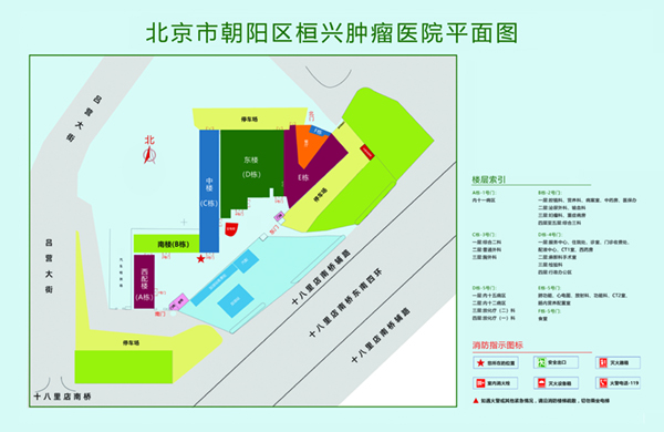 日比视频黄片北京市朝阳区桓兴肿瘤医院平面图